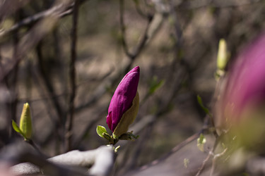 Similar image 13140115