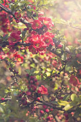 Similar image 13140117