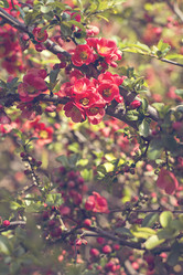 Similar image 13139849