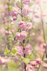 Similar image 13139850