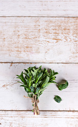 Similar image 13140784