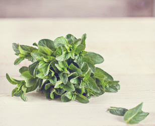 Similar image 13140785