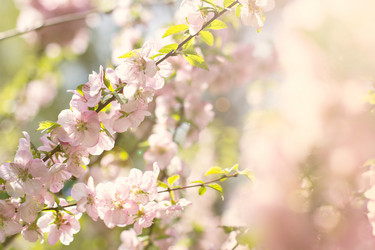 Similar image 13140868