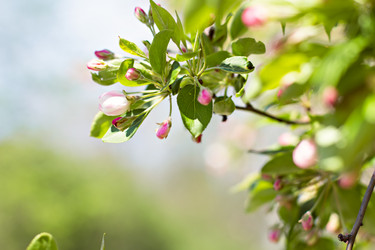 Similar image 13140883