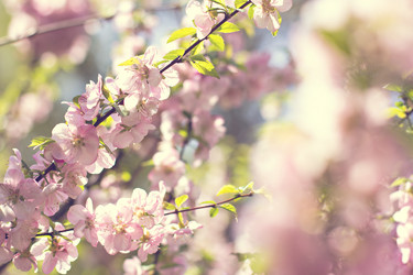 Similar image 13140952