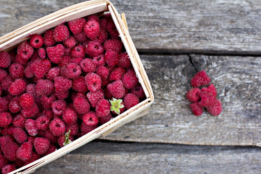 Similar image 13141030