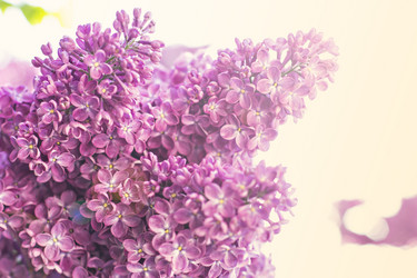 Similar image 13141031