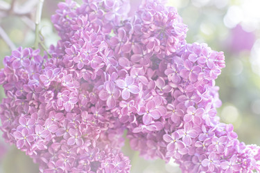 Similar image 13141049