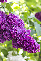 Similar image 13141073