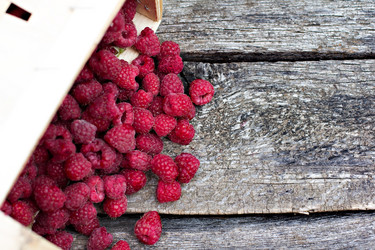 Similar image 13141087