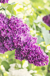 Similar image 13141088