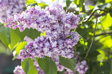 Similar image 13141112