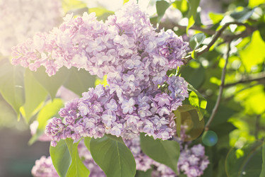 Similar image 13141114