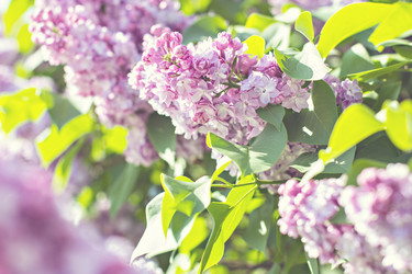 Similar image 13141126