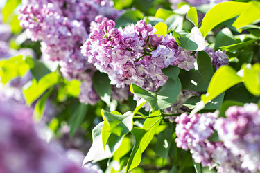 Similar image 13141128