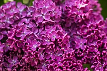 Similar image 13141147