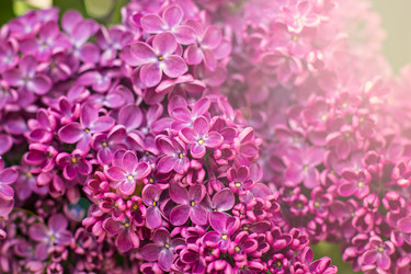 Similar image 13141149