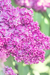 Similar image 13141169