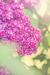 Similar image 13141185