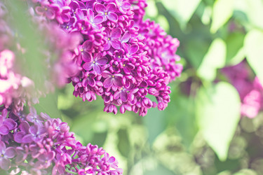 Similar image 13141187