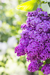 Similar image 13141209