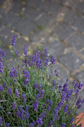 Similar image 13141211