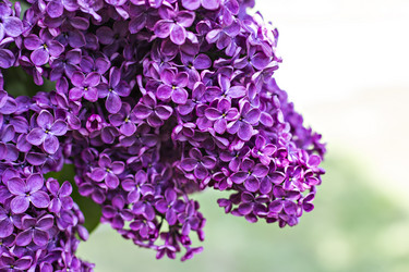 Similar image 13141212