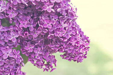 Similar image 13141214