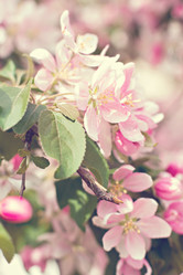 Similar image 13141154