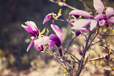 Similar image 13141193