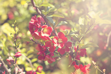 Similar image 13141215