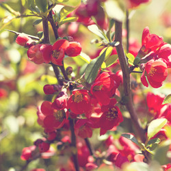 Similar image 13141231