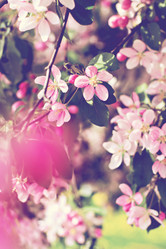 Similar image 13141232