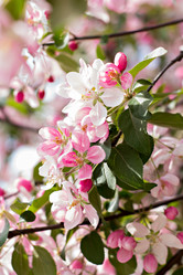 Similar image 13140561