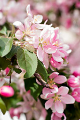 Similar image 13140586