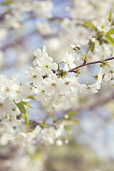 Similar image 13140590