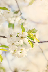 Similar image 13140614