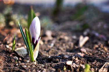 Similar image 13140629