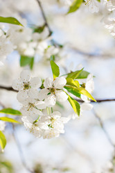 Similar image 13140648