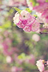 Similar image 13140649