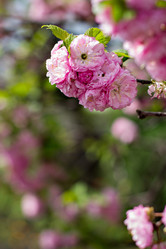 Similar image 13140651