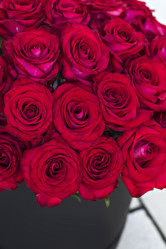 Similar image 13141155