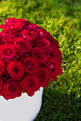 Similar image 13141173