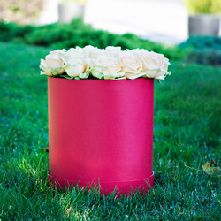 Similar image 13139957