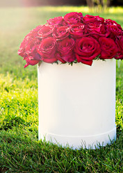 Similar image 13139958