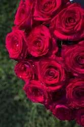 Similar image 13139961