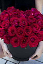 Similar image 13138142