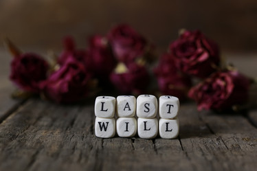 Similar image 13144420