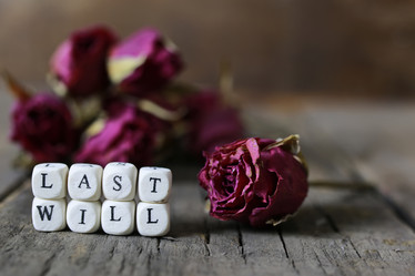 Similar image 13146621