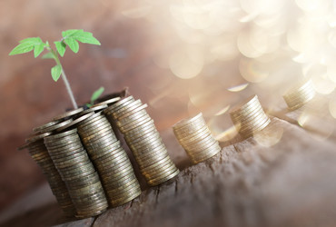 Similar image 13145603